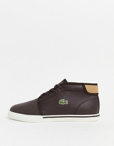 Коричневые ботинки чукка Lacoste - amptill-Темно-синий