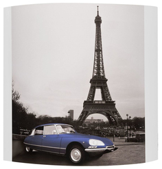 Настенный светильник Alfa Paris 91365