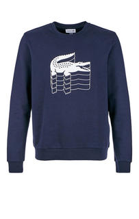 Свитшот мужской Lacoste синий 52