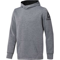 Мужская толстовка Reebok Workout Doubleknit Hooded DP6158