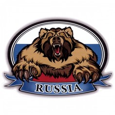 Наклейка на автомобиль виниловая Russia медведь, 15х15 VS