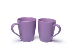 Чашка FISSMAN 9329