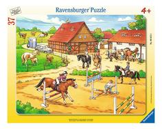 Пазл ravensburger «верховая езда» 37 элем.