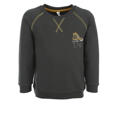 Свитшот Bossa Nova темно-серый р.122