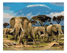 Раскраска по номерам Рыжий Кот Семья слонов