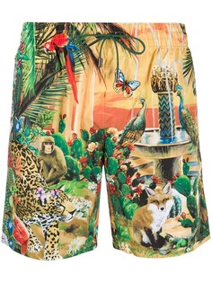 Dolce & Gabbana плавки-шорты Animal Kingdom