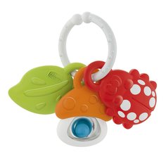 Игрушка-погремушка Nature Friends Chicco