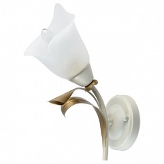 Бра Восторг 21 242027601 Mw Light