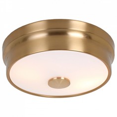 Накладной светильник Pannikin 2375-2C Favourite