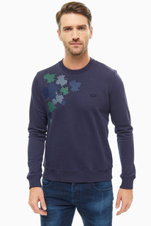 Свитшот Lacoste