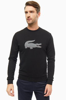 Свитшот Lacoste
