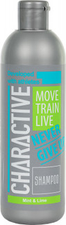 Шампунь для волос Charactive Mint & Lime