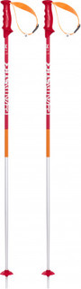 Палки горнолыжные Volkl Phantastick 2