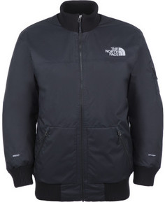 Куртка пуховая мужская The North Face Dubano, размер 46