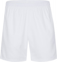Шорты мужские Nike Dry, размер 44-46