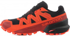 Кроссовки мужские Salomon Spikecross 5, размер 41