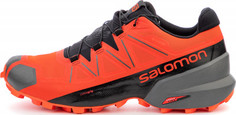 Кроссовки мужские Salomon Speedcross 5, размер 44