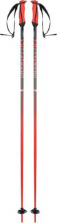 Палки горнолыжные Volkl Phantastick 18mm
