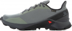 Кроссовки мужские Salomon Alphacross GTX, размер 43