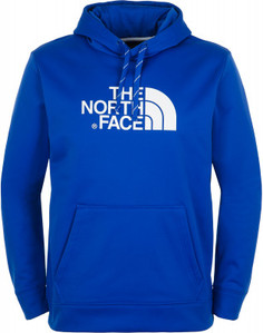 Худи мужская The North Face Surgent, размер 52