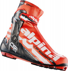 Alpina CSK