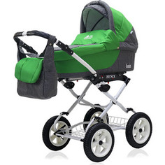 Коляска 2 в 1 Bart Plast FENIX Classic 10 графит-зеленый