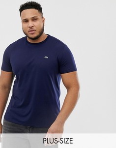 Темно-синяя футболка из хлопка пима с круглым вырезом и логотипом Lacoste-Темно-синий