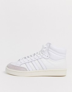 Белые высокие кроссовки adidas Originals Americana-Белый