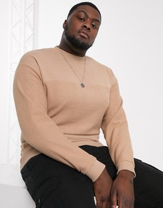 Oversize-свитшот со вставками ASOS DESIGN-Бежевый