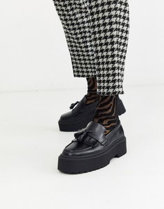 Носки с зебровым принтом ASOS DESIGN-Черный