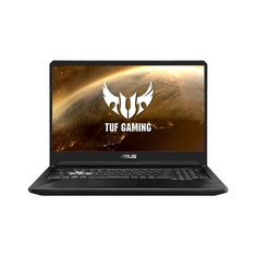 Ноутбук ASUS FX705DD-AU089T (90NR02A2-M01040)