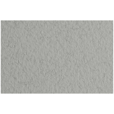 Бумага для пастели "Tiziano", 500x650 мм, 160 г/м2, серый холодный, 10 листов Fabriano