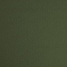 Бумага для пастели "Tiziano", 500x650 мм, 160 г/м2, зеленый темный, 10 листов Fabriano