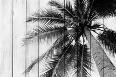 Картина на дереве Дом Корлеоне Пальма 01-0352-40х60