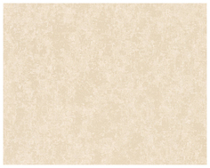 Обои A.S. Creation Versace III 34903-3