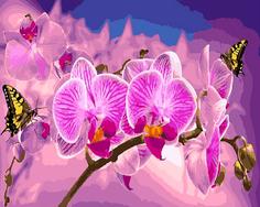 Картина по номерам Paintboy "Цветок орхидеи", 40x50 см