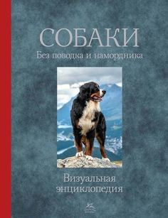 Собаки. Без поводка и намордника Колибри