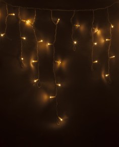 Гирлянда электрическая NEON-NIGHT original 255-166480