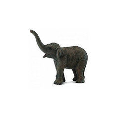 Коллекционная фигурка Collecta Азиатский слонёнок, S