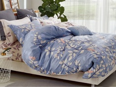 Постельное белье Cleo Satin Lux 41/294-SL Комплект Дуэт Сатин