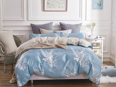 Постельное белье Cleo Satin Lux 41/290-SL Комплект Дуэт Сатин