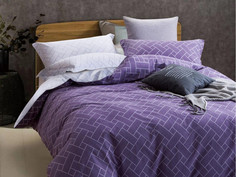 Постельное белье Cleo Satin Lux 41/204-SL Комплект Дуэт Сатин