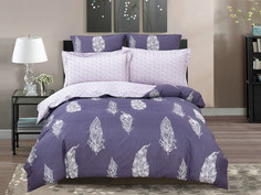 Постельное белье Cleo Satin Lux 41/379-SL Комплект Дуэт Сатин