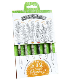 Растение Растущий карандаш Прованские травы цветные 6шт RK-02-06-08