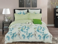 Постельное белье Cleo Satin Lux 41/318-SL Комплект Дуэт Сатин