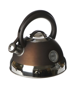 Чайник Polaris Etna-3L Metal