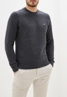 Свитшот Lacoste