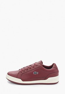 Кеды Lacoste