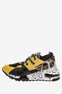 Кроссовки с животным принтом Cliff Steve Madden