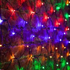 Neon-Night Гирлянда Сеть 1х1,5м, черный ПВХ, 160 LED Мультиколор
